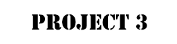PROJECT 3